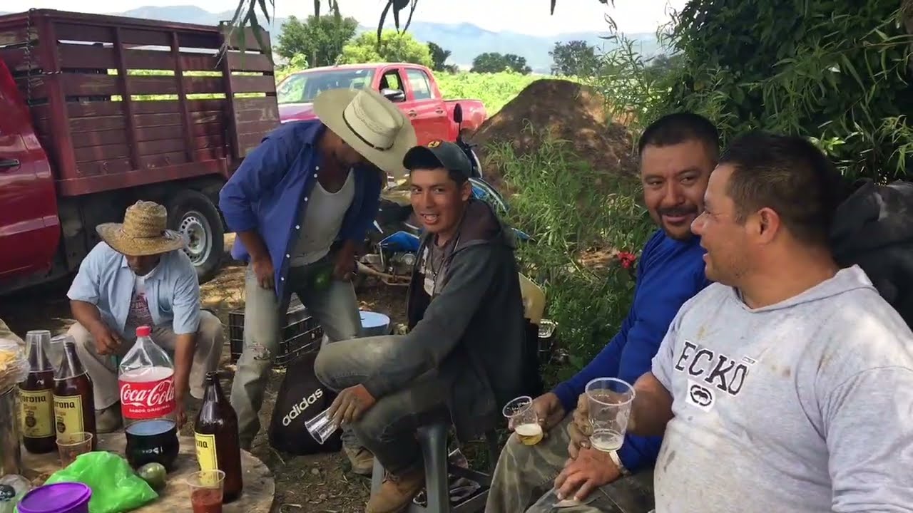 La siembra de cresta de gallo con Cultivo Don Chuy! Nuestra vida en Oaxaca!