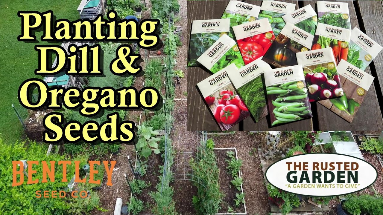 How to Plant Dill & Oregano Seeds in Your Garden: The Rusted Garden & Bentley Seeds QR Code Video