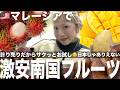 【🇲🇾マレーシア生活】破格の激安南国フルーツを満喫😍?! / I try tropical fruit in Malaysia for the first time.
