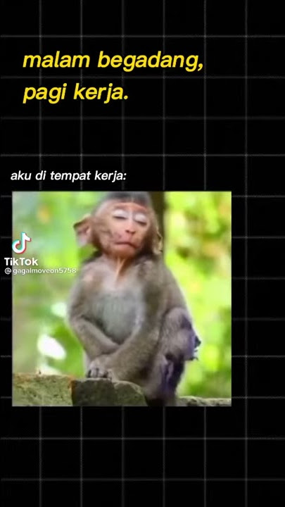 STORY WA TERBARU
