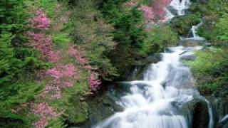 Nature.wmv