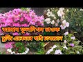 Assamese daily blog  new assamese vlog daringogoi