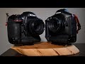 Nikon D4 vs Canon 1DX quick camera review