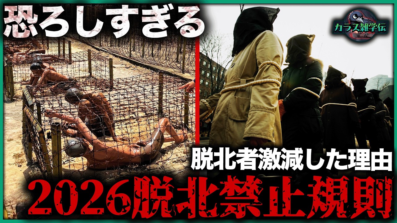 【2026】北朝鮮最も恐ろしい脱北禁止規則TOP10!三代連座制はまだ7位!金正恩の妻さえ恐れる1位の禁則…2025年末までに脱北成功者3.45万人、それでも今や年200人以下に激減した理由