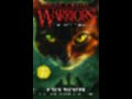 Warrior cats book 42 cover reveal!