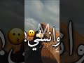 بحبك انتي وبس