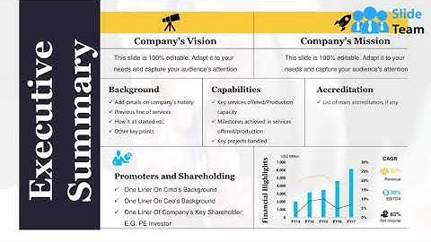 Executive Summary Example Of Ppt Presentation