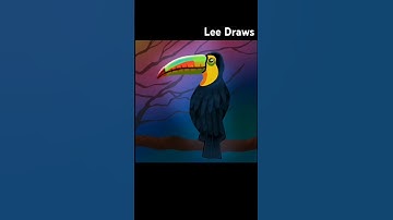 Simple toucan bird painting in procreate