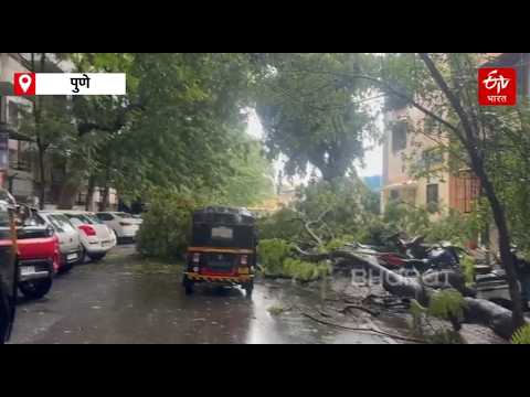 पुण्यात पाणीच पाणी, पुणे-पिंपरी-चिचंवडमधील अनेक सोसायट्यांमध्ये शिरलं पाणी - सखल भागात पाणी