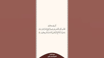 تلاوة في ٣٠ ثانية سورة النمل الآية ٦٣ الشيخ فيصل غزاوي