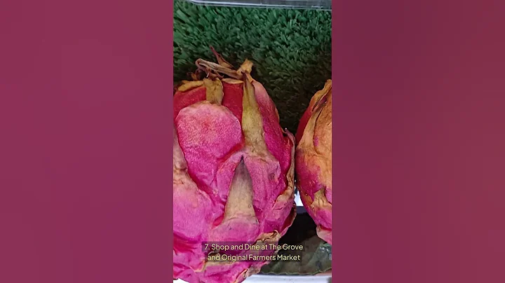 Top 10 Must-Do Activities in Los Angeles: Your Ultimate LA Travel Guide!