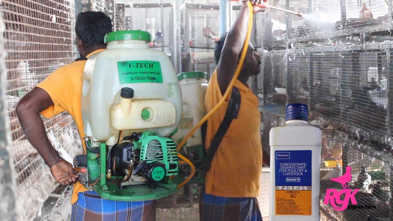 HOW TO KILL BACTERIA & VIRUS FROM YOUR FARM