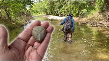 Creek Walking for Fossils - North Texas Creeks - Fossil Collecting - 2023