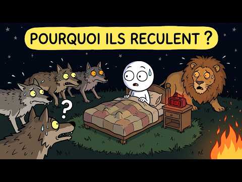 Pourquoi vous réveillez-vous à 3h du matin ? (ce que faisaient vos ancêtres)