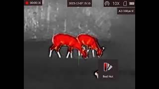 Agm Global Vision Thermal Scope Rattler Ts50 640 Compact Long Range Thermal Imaging Riflescope, Amaz