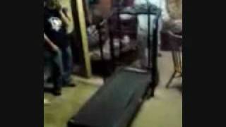 Jackass Treadmill