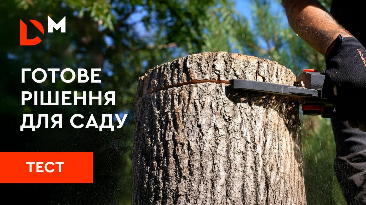 Тестування | Легкий догляд за садом з акумуляторною ланцюговою пилою DMS-201BC | Dnipro-M
