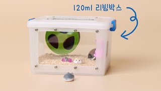 세상에서 제일 작은 리빙박스에 햄스터 키우기 (Raising hamsters in the world's smallest cage) by SIMI TV 73,695 views 1 year ago 12 minutes, 7 seconds