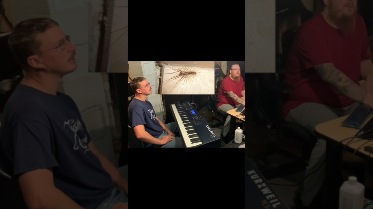 Bugs In The Studio. Jettison Greymatter Recording 