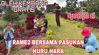 HEARTS ARE WORRIED TOGETHER WITH THIS TROOPS, YOU CAN BE HAPPY \u0026 KEEP ON GOING