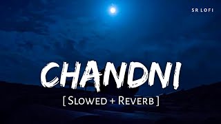 Chandni (Slowed   Reverb) | Sachet Tandon, Parampara Tandon | SR Lofi