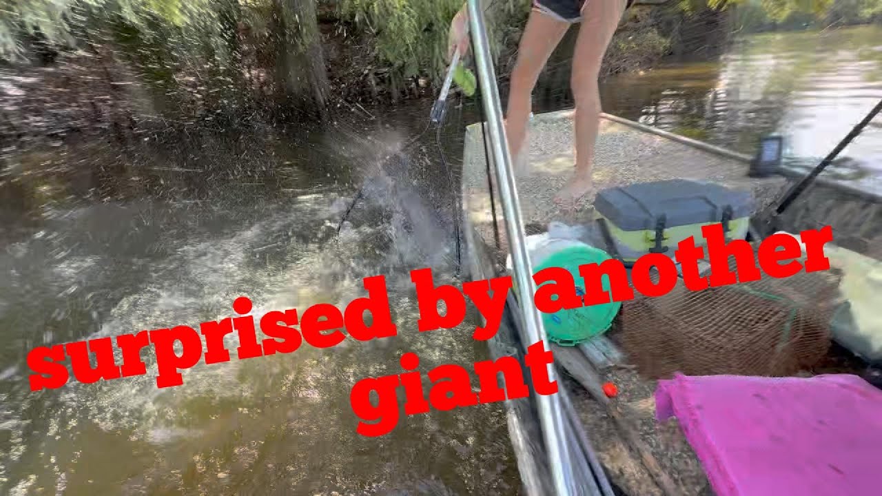 Line Rider Catch Biggest Limb Line Catch We’ve Ever Had - YouTube
