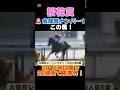 【桜花賞2026】危険度ナンバー1はこの馬🚨2016年以降で22頭全て馬券外!