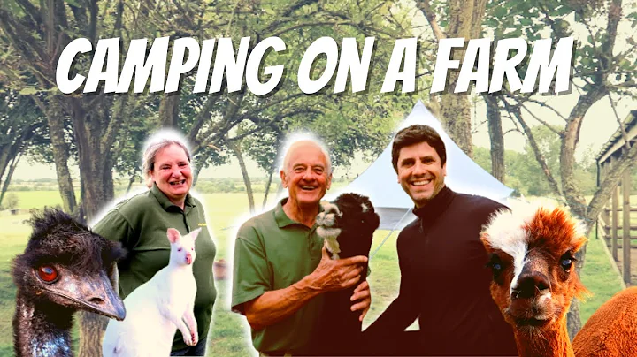 Magical Camping with Alpacas at Hill Farm, Great B...