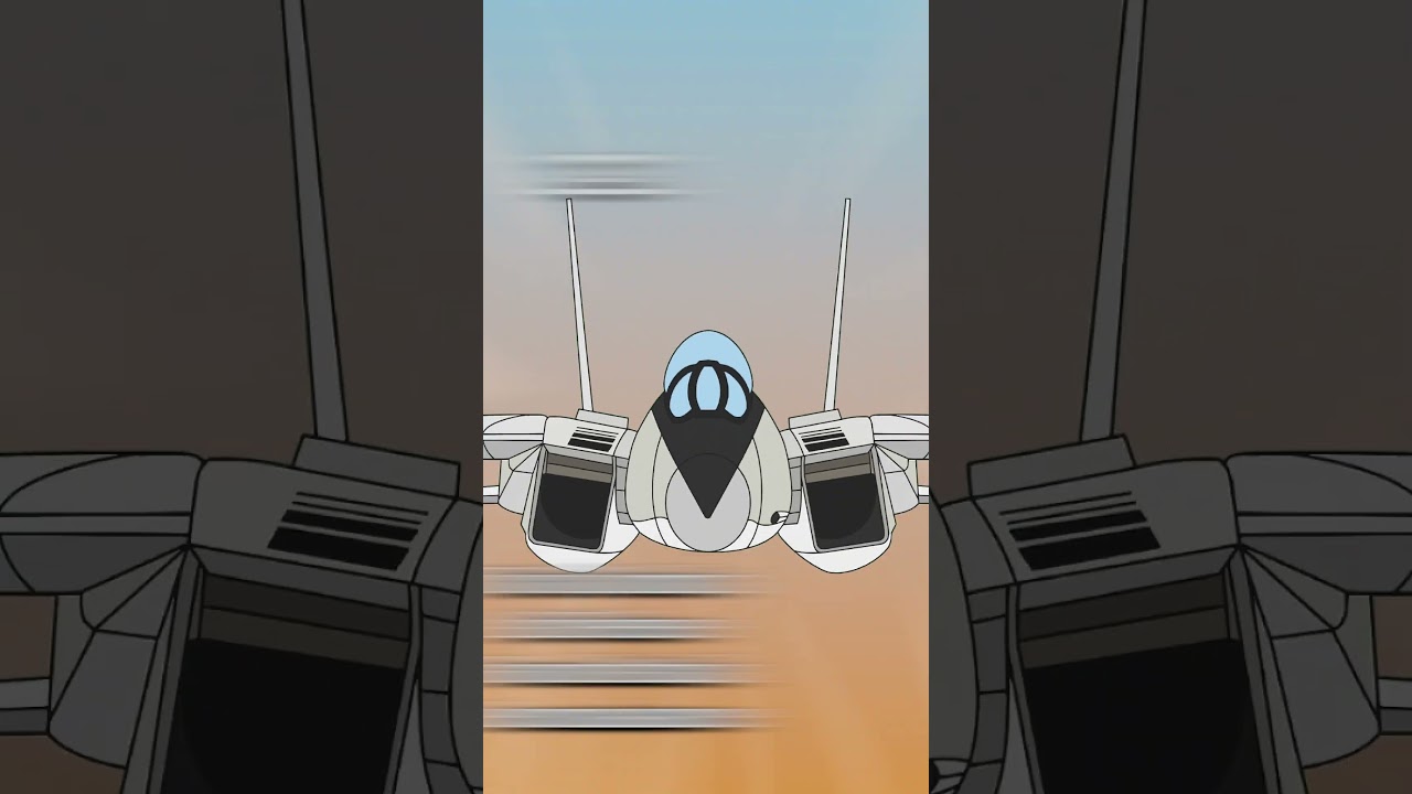 The F-14 Tomcat in USAF🇺🇸 vs IRIAF🇮🇷 