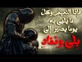 نام الخلي وما أحس رقادي الأسود النهشلي بصوت بن الكنانة 