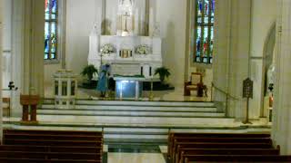 June 15, 2026 - Daily Mass