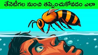 How to Escape from Honey Bees | How to Stay Safe Around Honey Bees | telugu facts | BMC facts 