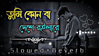 tumi konba deshe roila re | তুমি কোনবা দেশে রইলারে দয়াল চান | Slowed~Reverb | Songs 2024