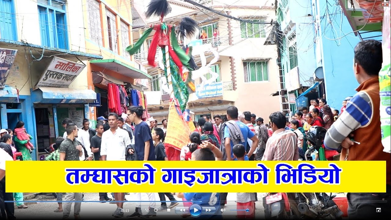 तम्घासमा यसरी मनाइयो गाइजात्रा- Gaijatra gulmi tamghas - YouTube