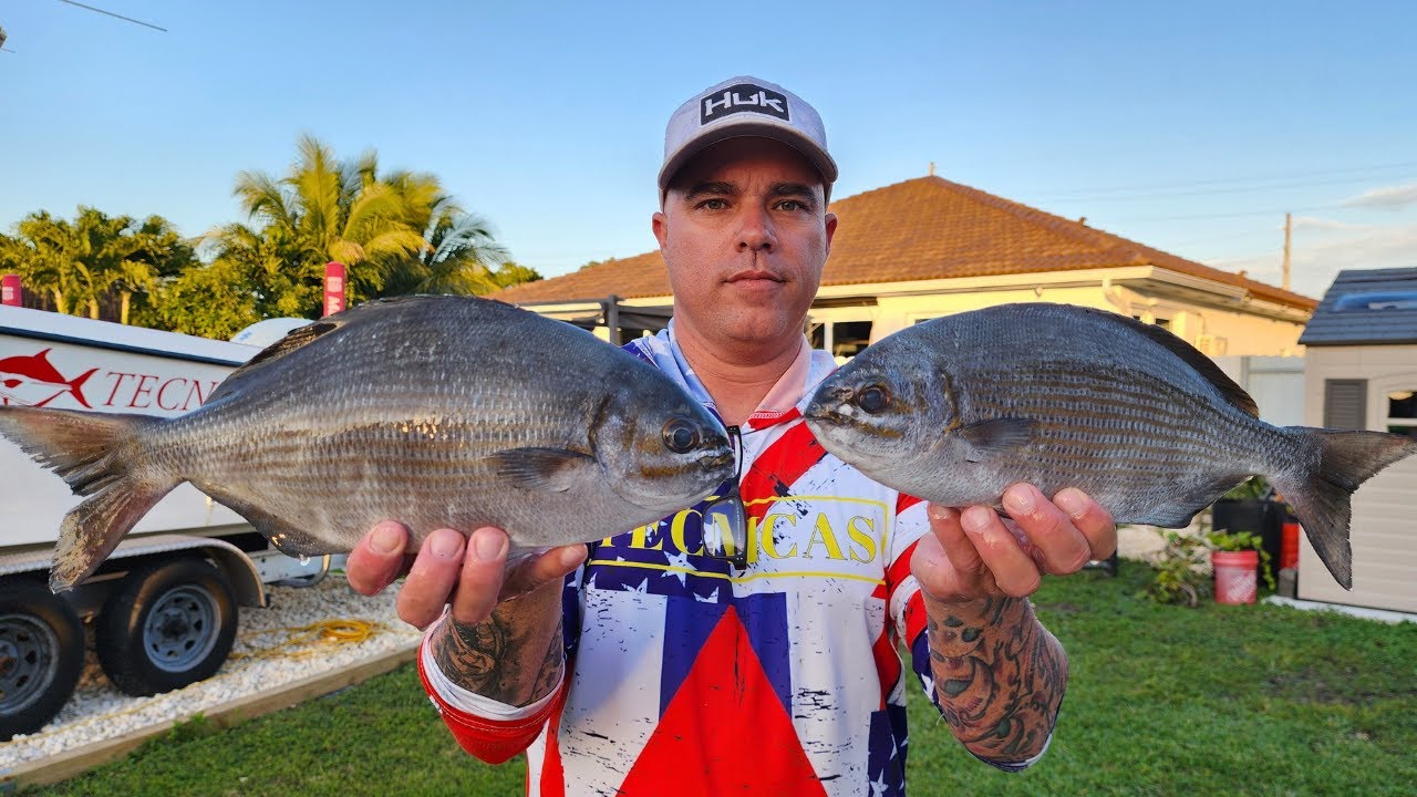 COMO PREPARAR CHOPA DE BERMUDA SIN ENSUCIAR LA CARNE!