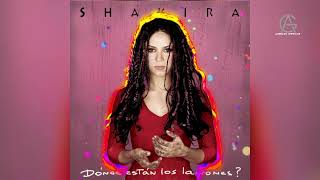 Shakira - Ciega Sordomuda - Slowed + Reverb (Arisael Guzman)