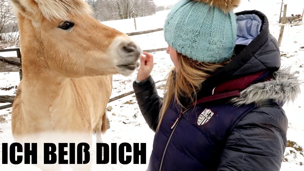 Stall Fma |Youtuber werden |Krank sein |Neue Produkte testen | VLOG 3 |LIFELOVENIKI