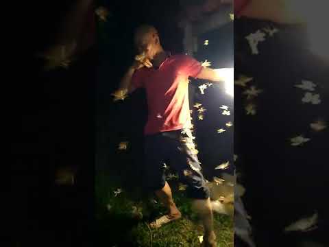 Video Mùi Hương Trong Người Của CÚ ĐẤM THÉP Làm Cho Đàn Bướm... - youtube