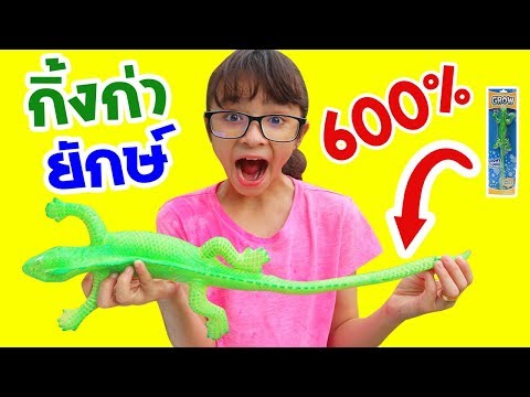 บรีแอนน่า | กิ้งก่าจิ๋วกลายร่าง! ใหญ่ขึ้น 600% เป็นกิ้งก่ายักษ์ | Grow Green Lizard