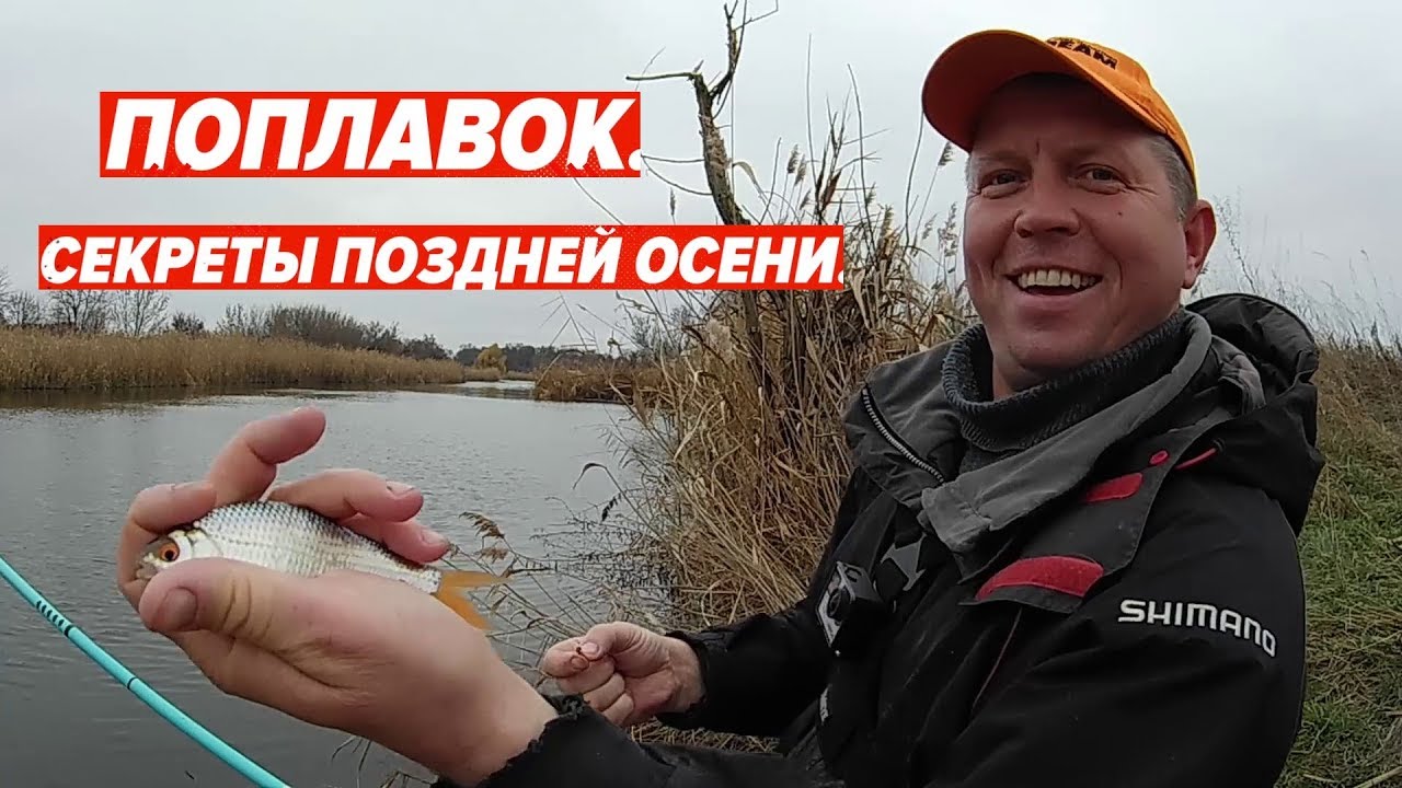 Щука улов осень. Осенний фидер. Рыбалка на щуку. Рыбалка и вокруг нее канал. Плотва фото.