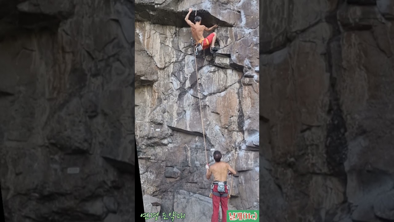 연경 [도약대] 날개(11c)