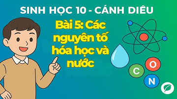 Sinh học 10 Bài 5 Cánh Diều | Các Nguyên Tố Hóa Học Và Nước | Giải Bài Tập SGK Sinh Học 10