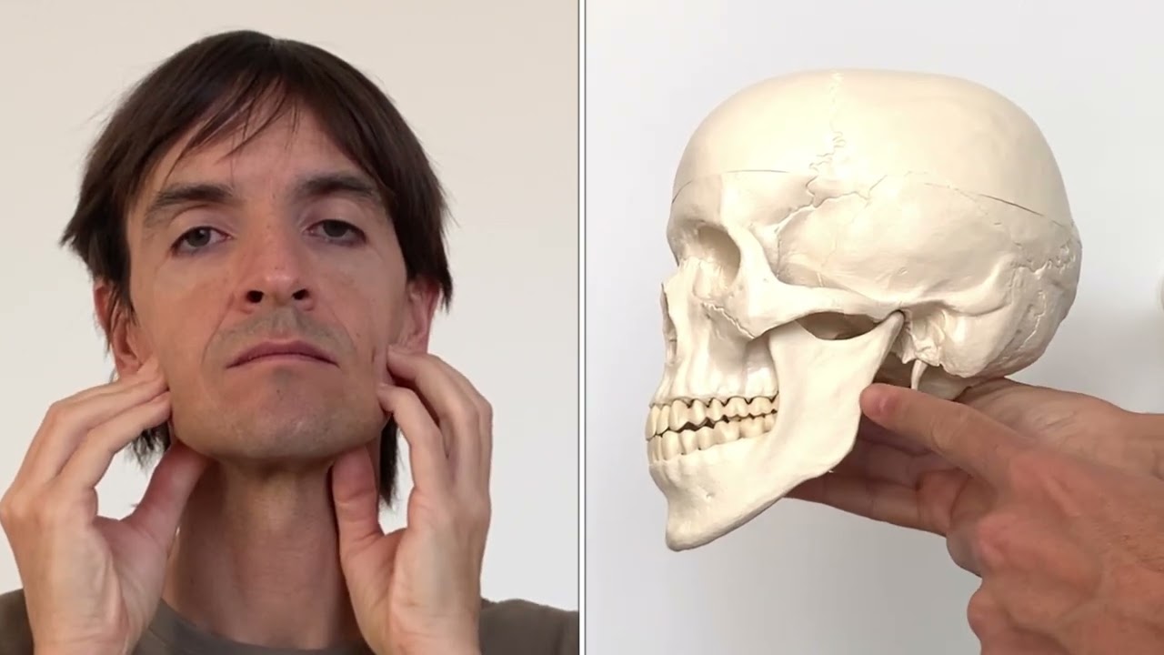 Autotratamiento del músculo masetero