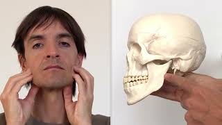 Autotratamiento Del Músculo Masetero