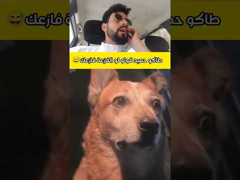 طاكو حميد قولو لو الفزعة فازعك هتضحك ابلور دويتو كوميديات  تحشيش ضحك  تحشي