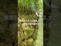 【最高神】神龍八大龍王神社へ参拝