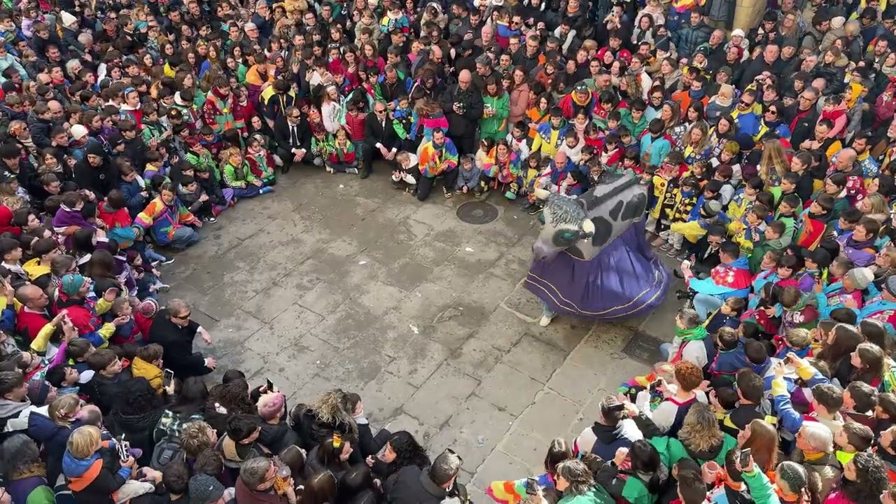 VAQUETA ESTEFANIA - CARNAVAL SOLSONA 2026