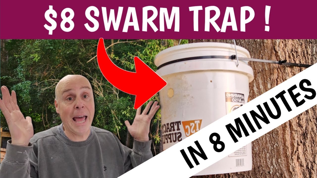 DIY Swarm Trap for $8: Beekeepers Are Losing Money Without This