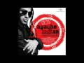 Apache Indian - It Is What It Is Full Album 2013