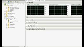 SQL Server 2008 - Activity Monitor and Reports SQL Server 2008 - Activity Monitor and Reports